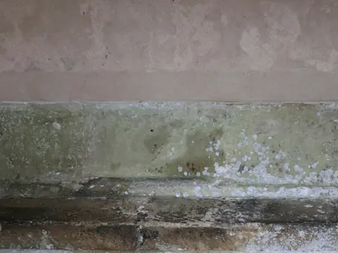 Vochtplekken en schimmel in een band onderaan een muur
